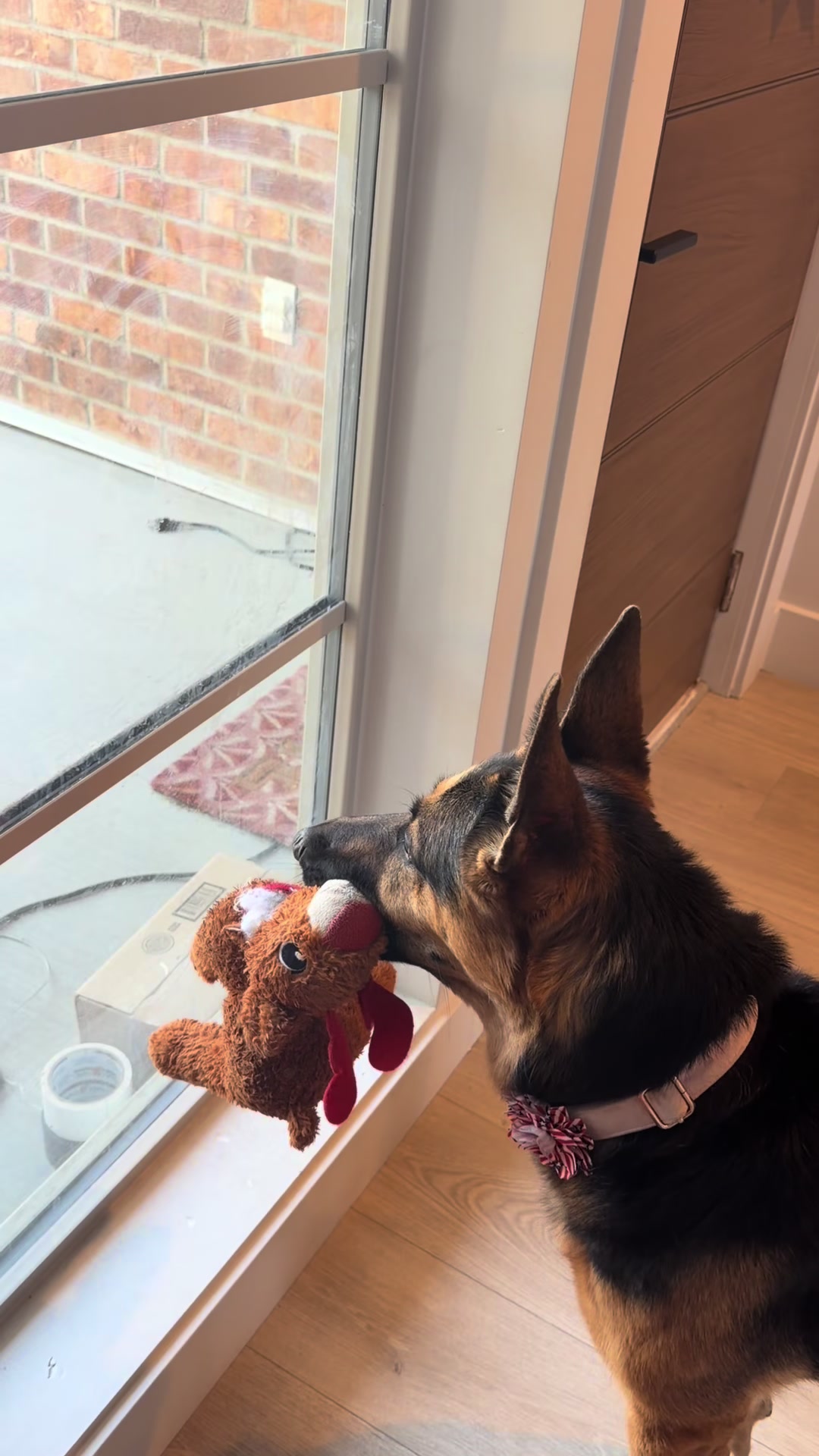 @Rory The Not-Working GSD