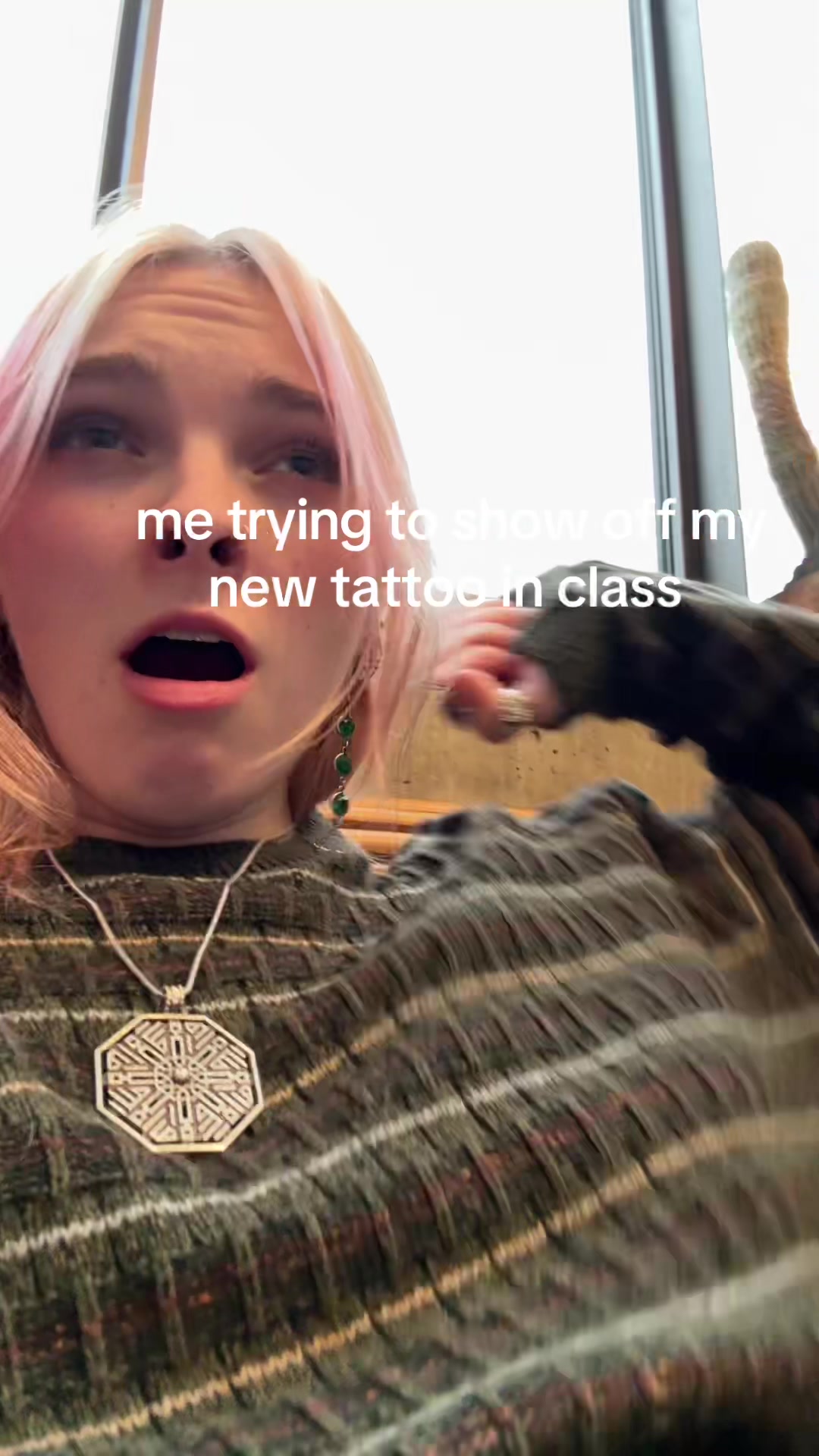 @dinasaur