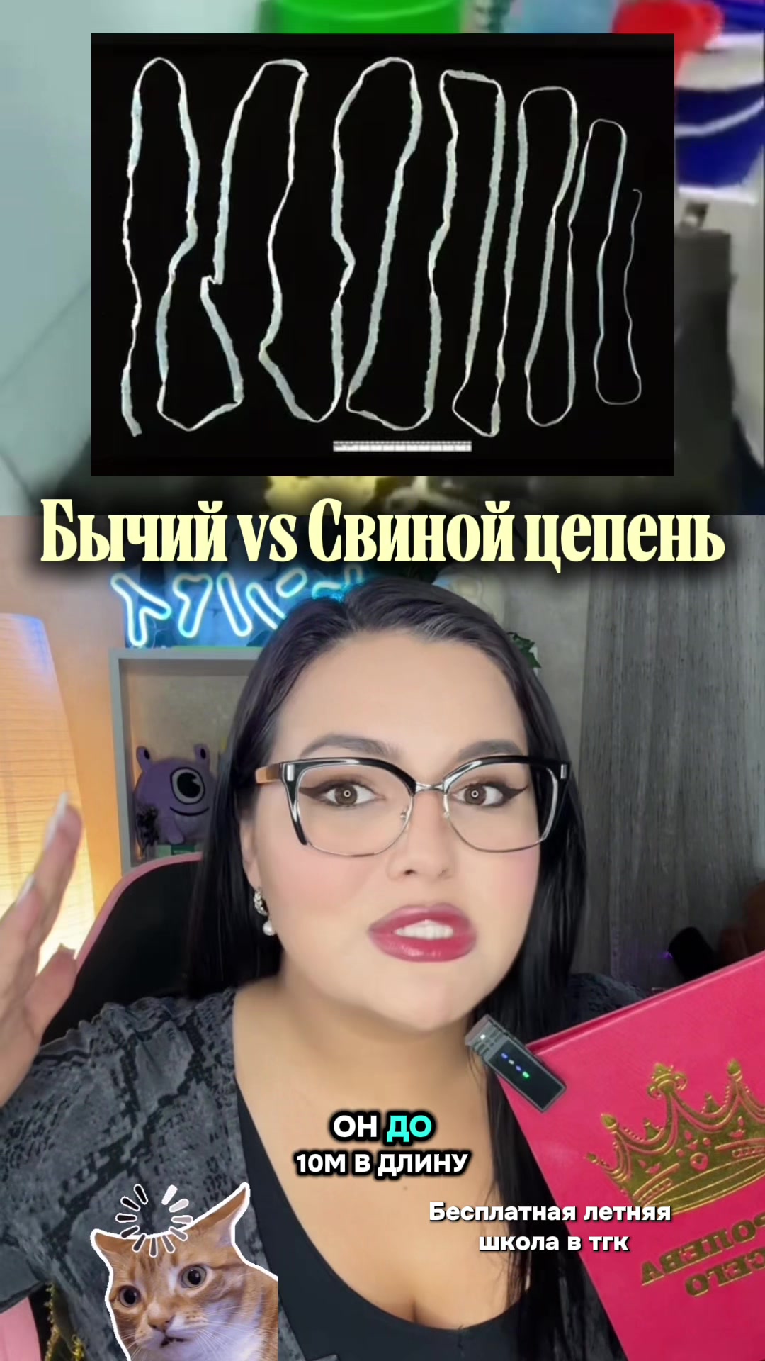 @Тгк.Идочка Биологичка| БИО ЕГЭ
