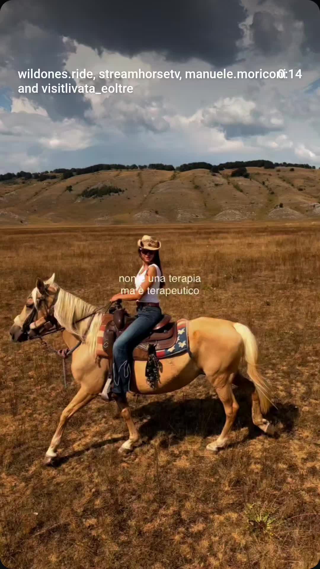 @streamhorse