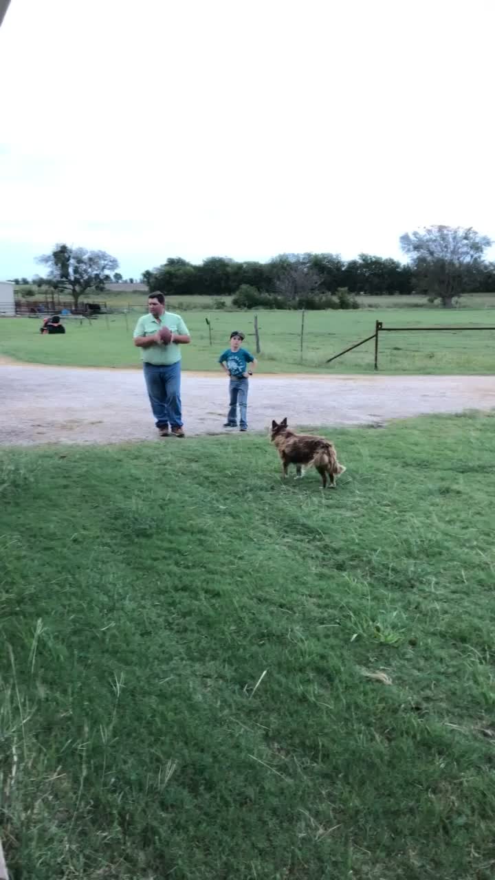 @Bar 7 Ranch