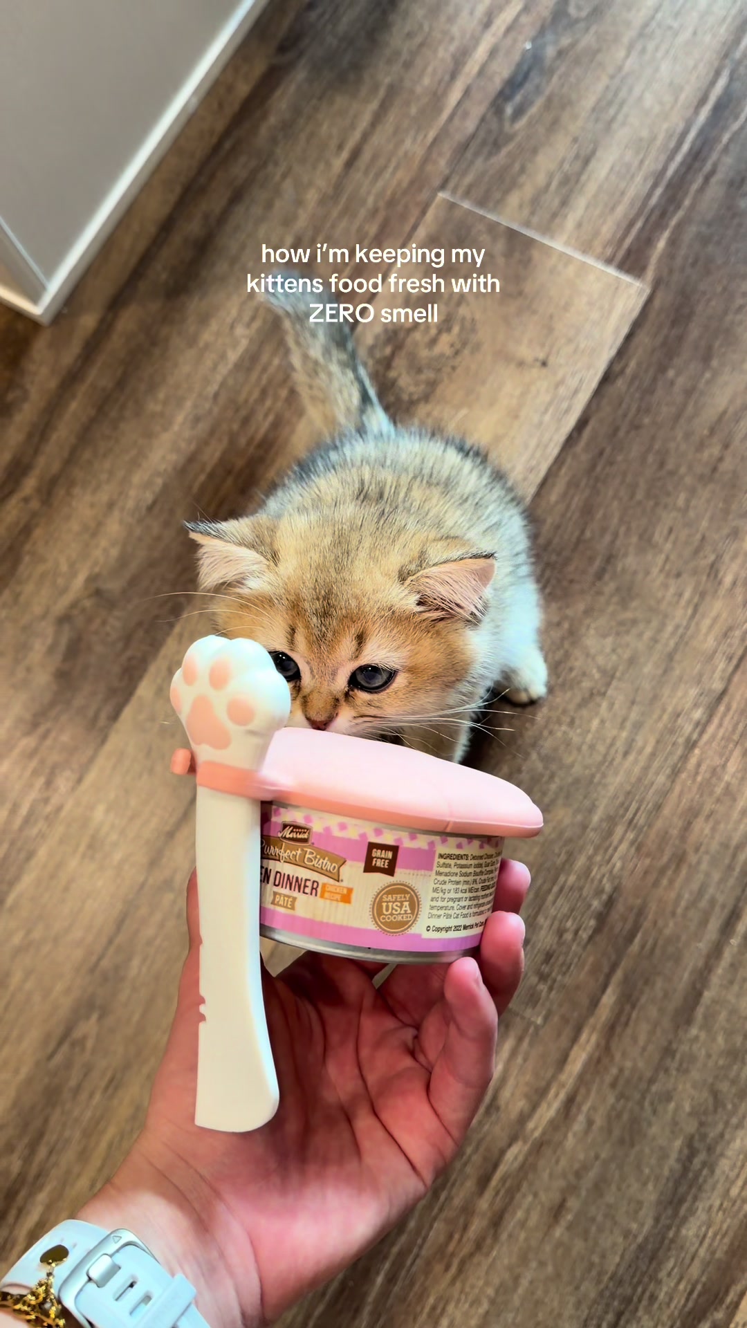@gracie ⋆ ˚。⋆୨୧˚