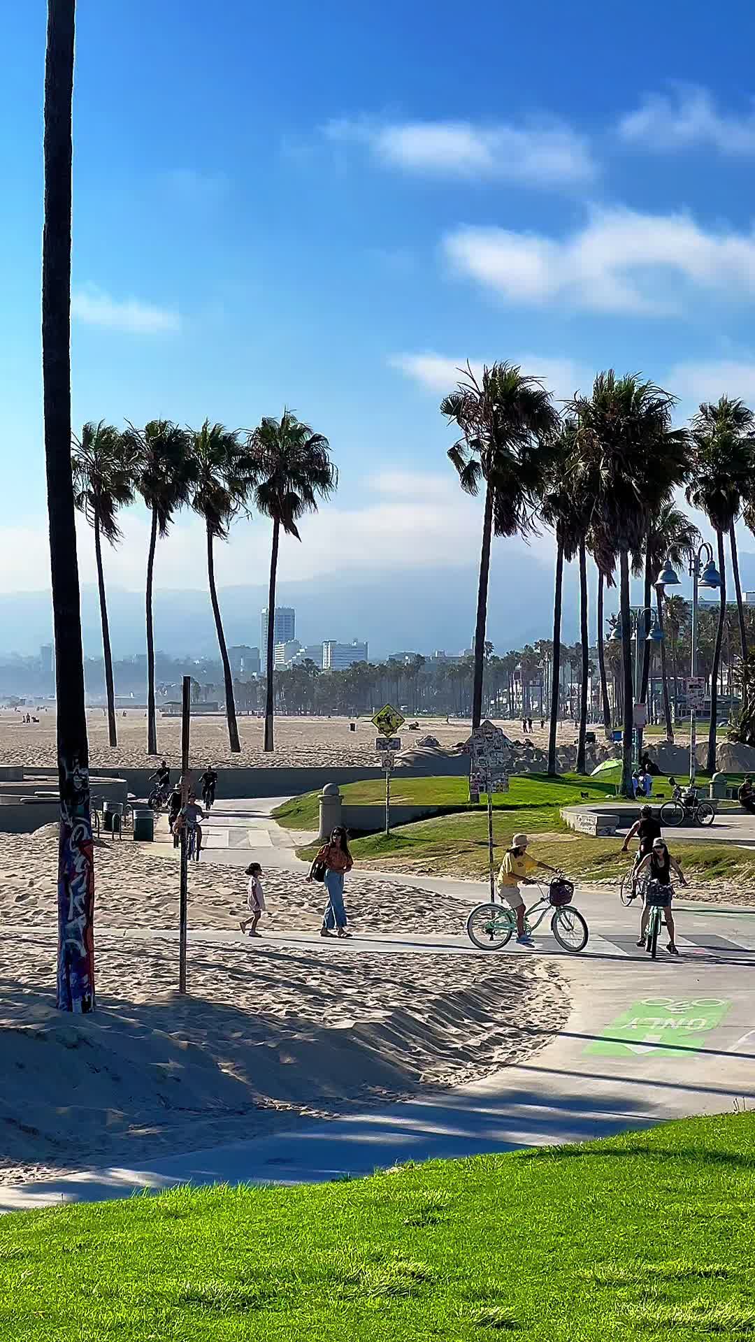 @Venice Beach Boardwalk
