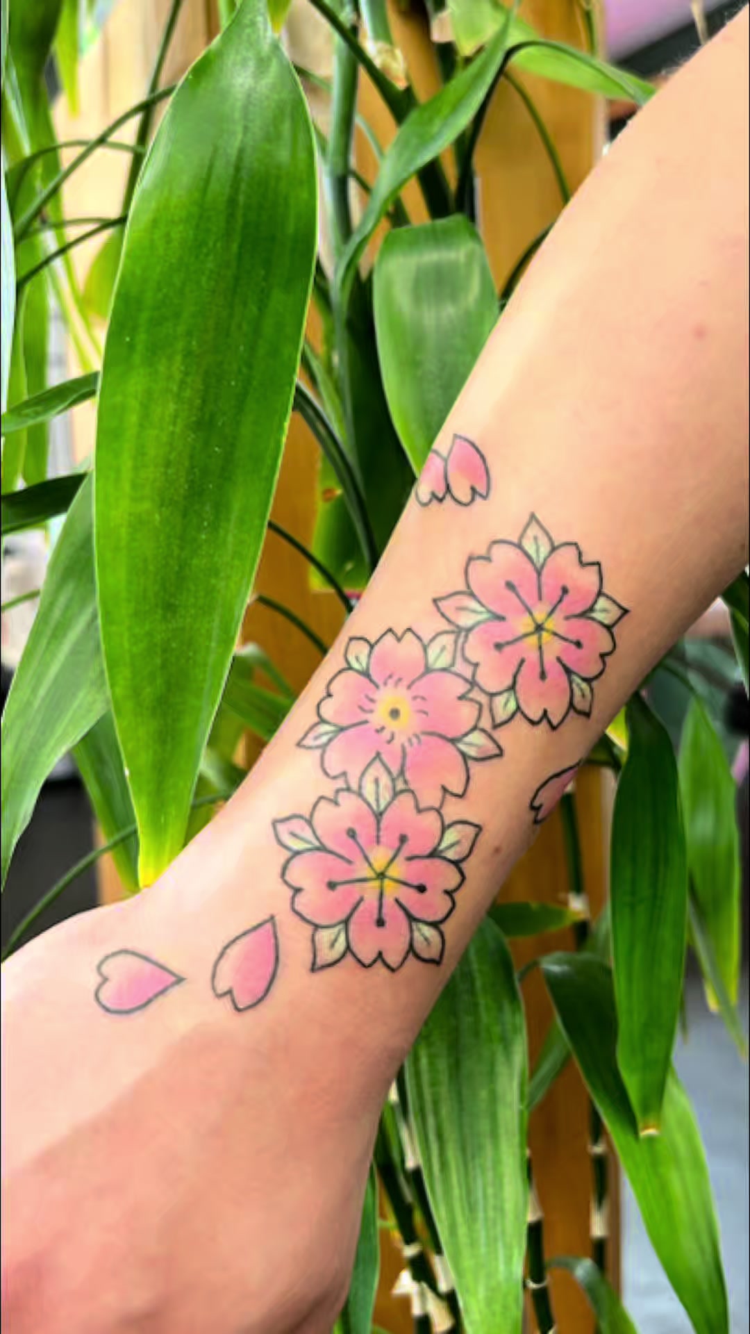 @ghost.kitty.ink