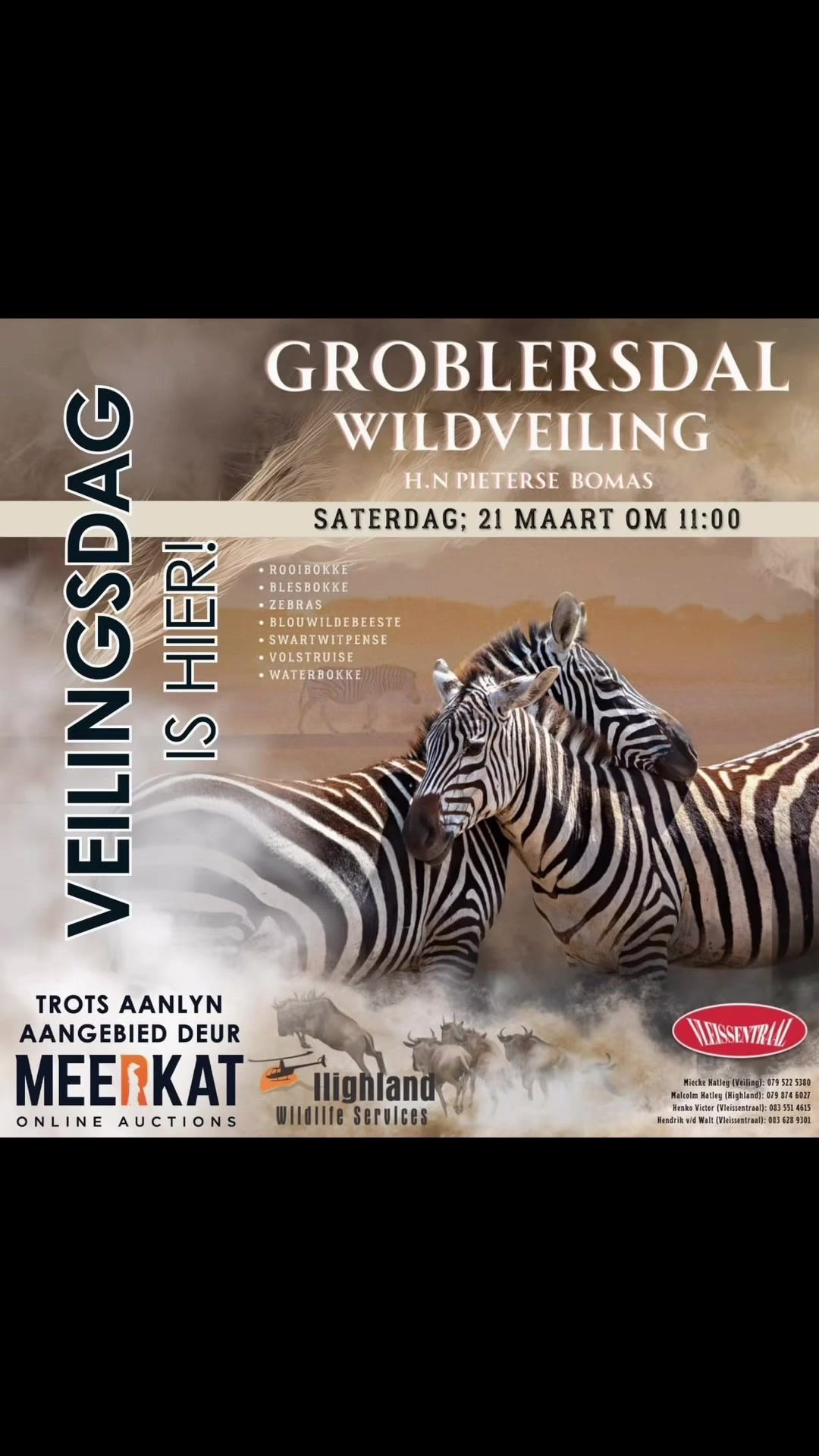 @Meerkat Online Auctions