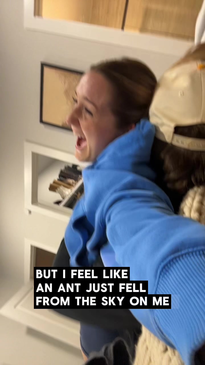 @thedailytn