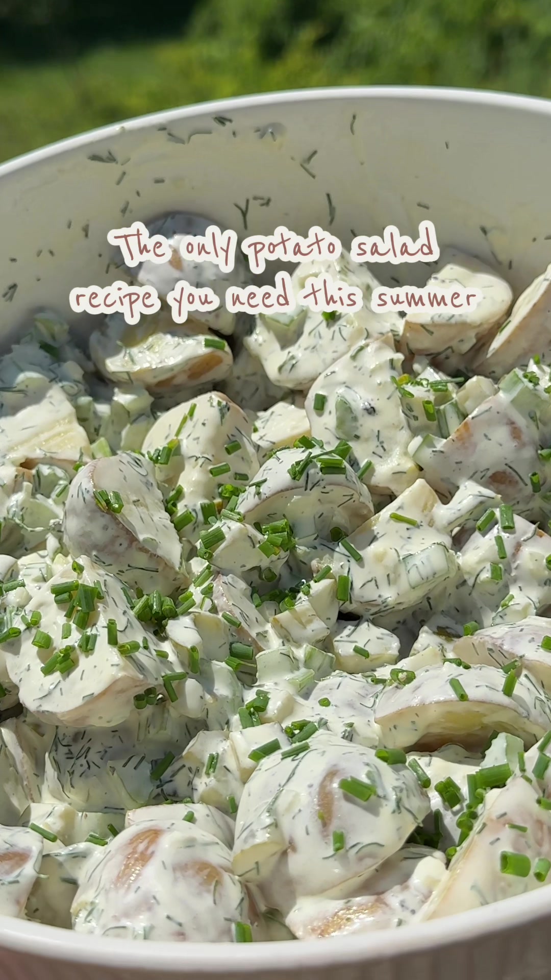@mallorionderwater