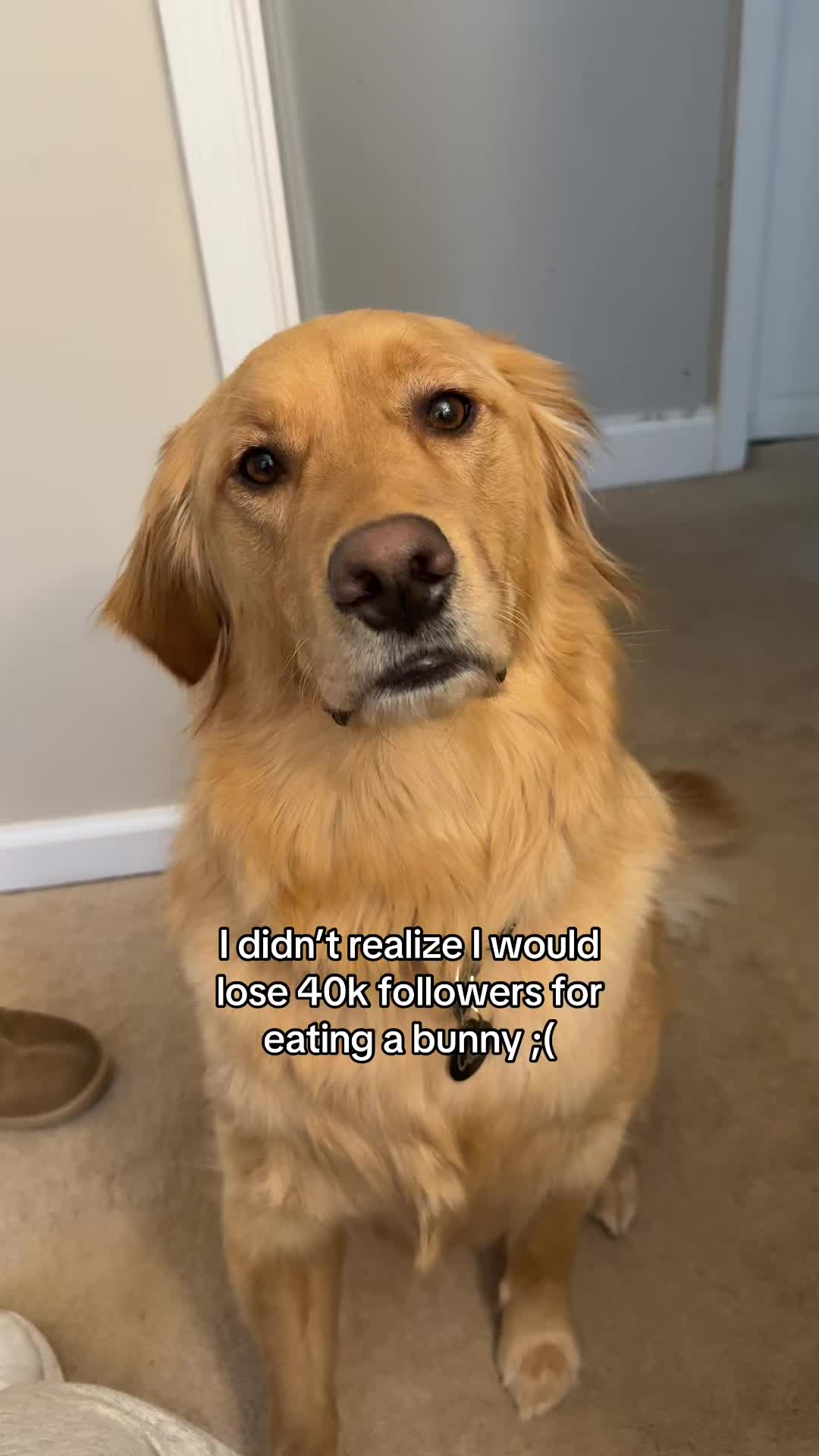 @Cash