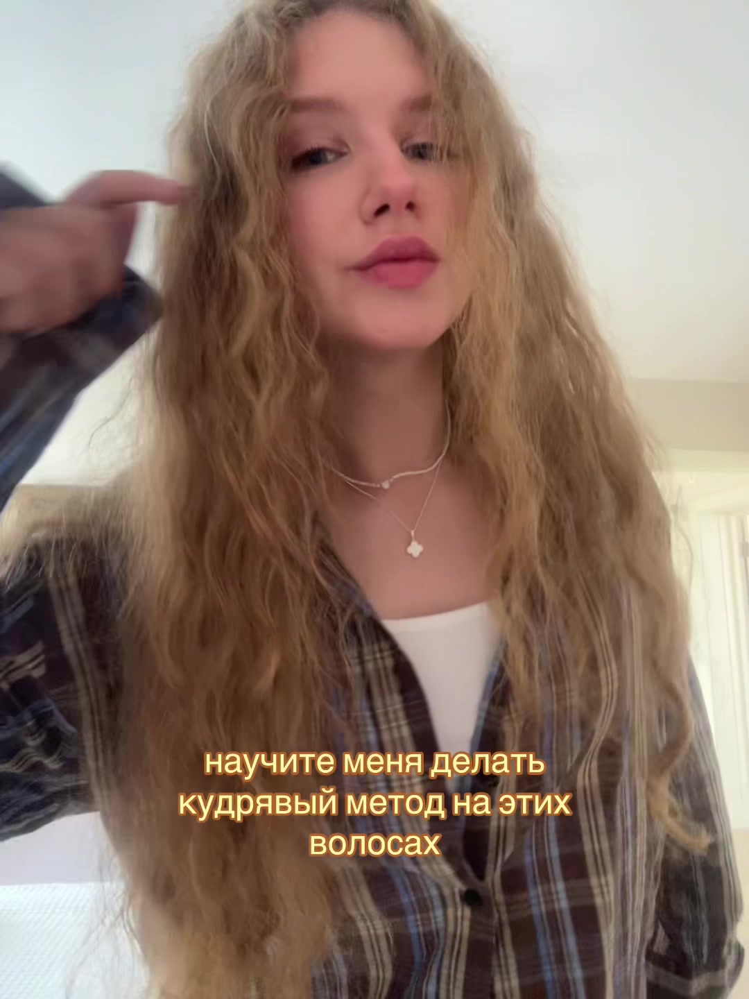 @mashco