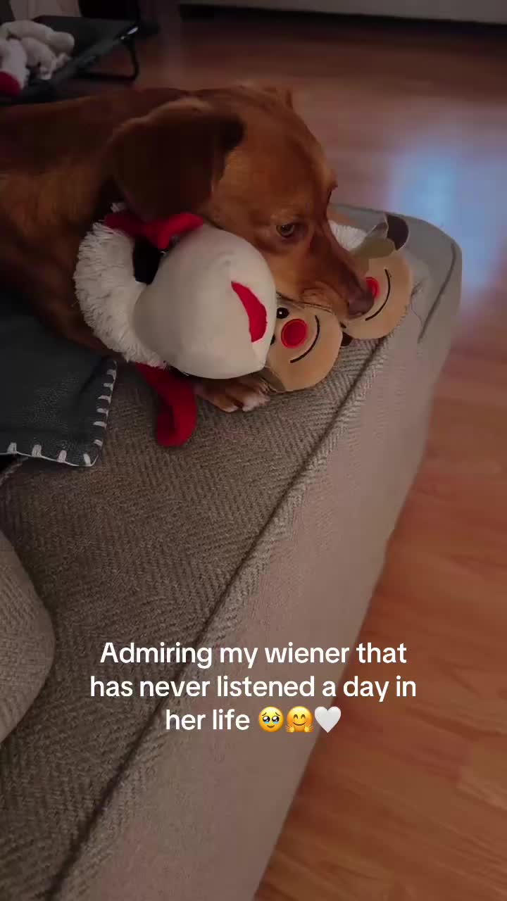 @ᑕᕼᗩᖇᒪᗴᑎᗴ ♡