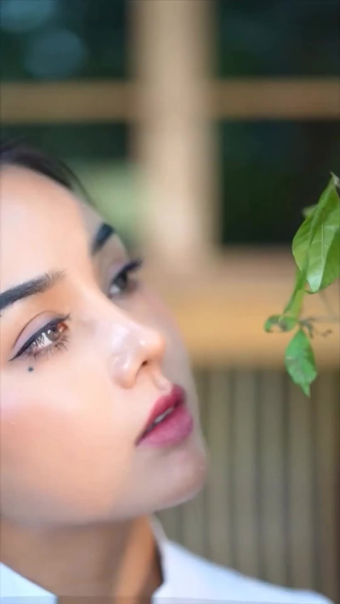 @DISCOVERY.6699