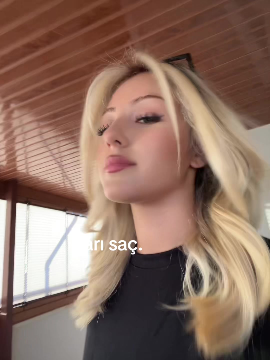 @acelyacckk