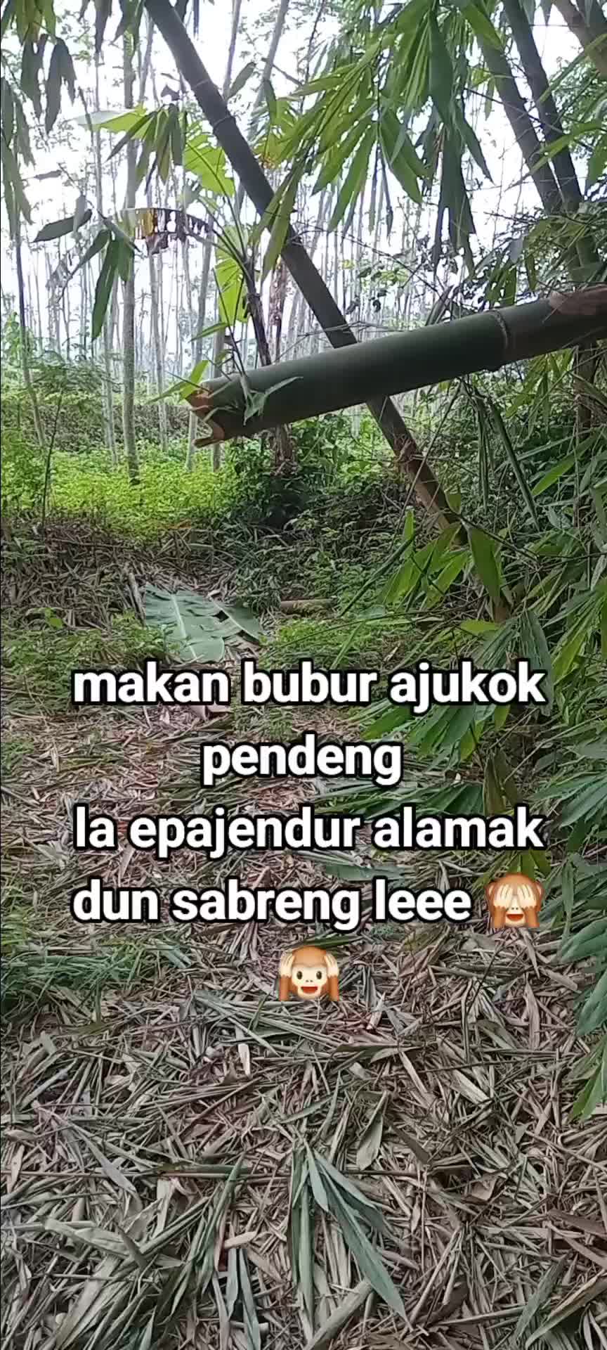 @KAMPONG TOSO