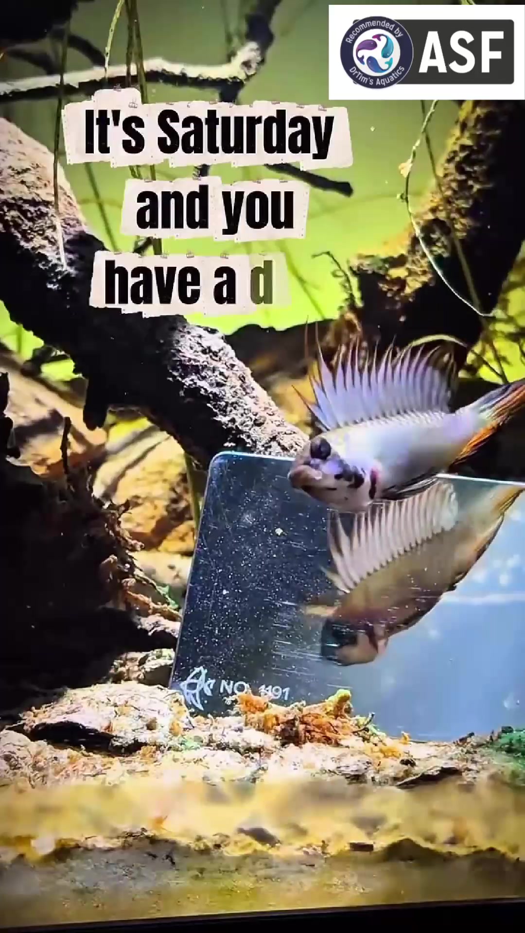 @DrTim