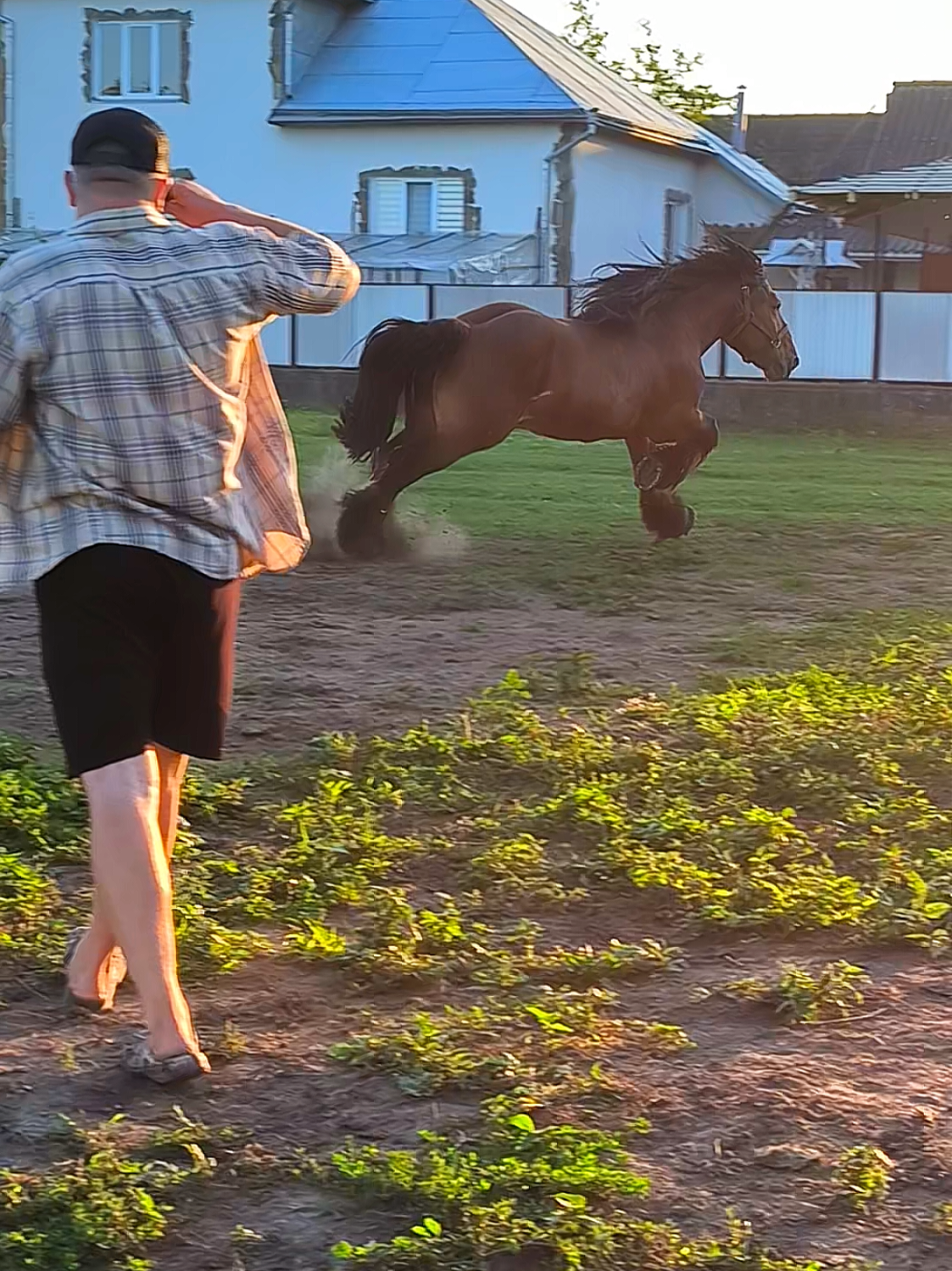 @ВАСЯ БОЙЧУК 🐎