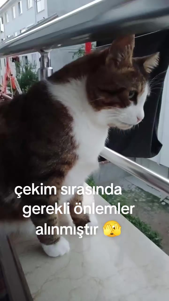 @şanslı