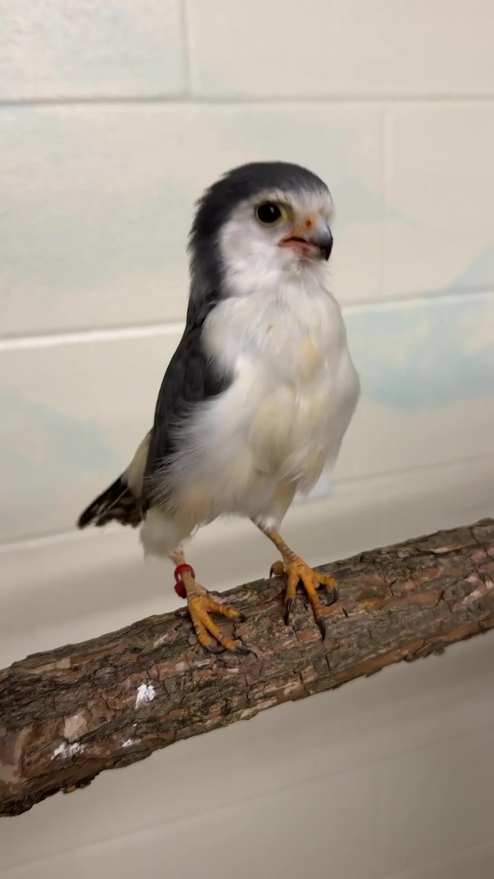 @Cincinnati Zoo