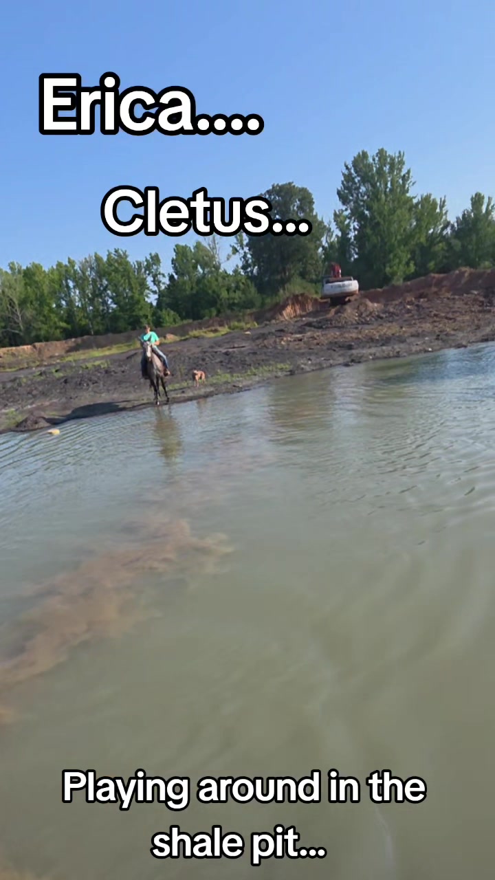 @CactusLMules