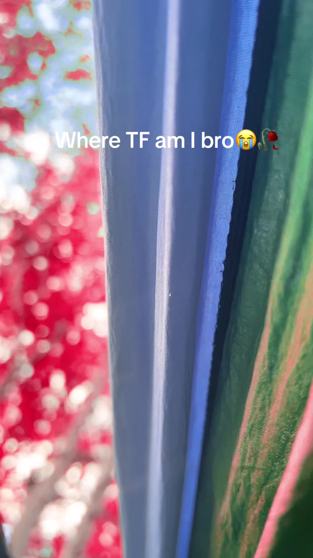 @Anotherone