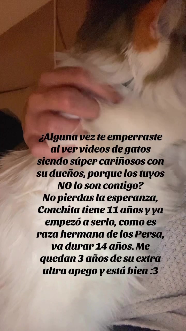 @Mariana Reyes