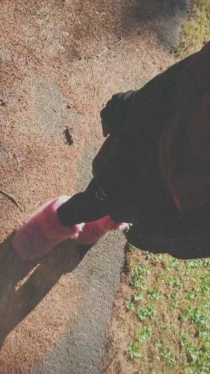 @lee.kennett.27