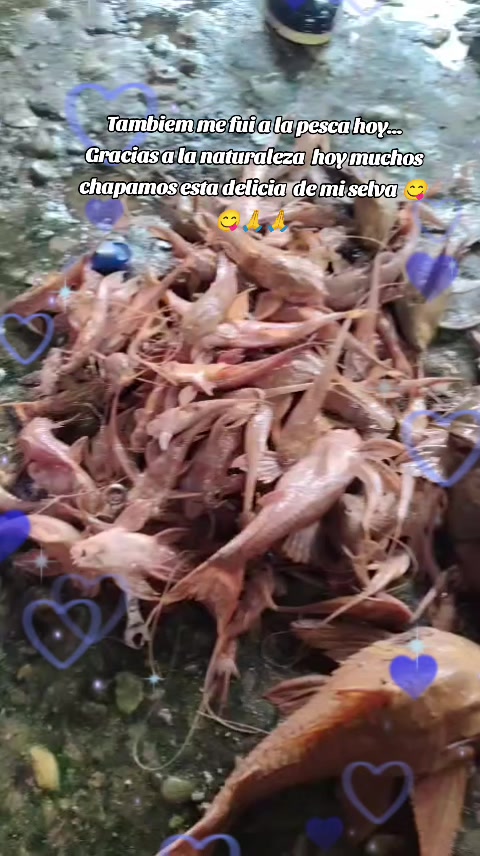 @jhoisy ❣️
