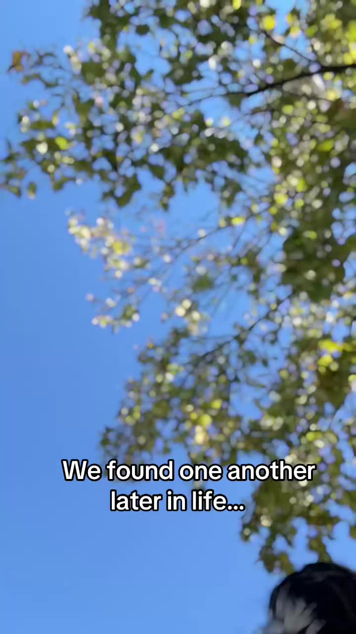 @Vetta