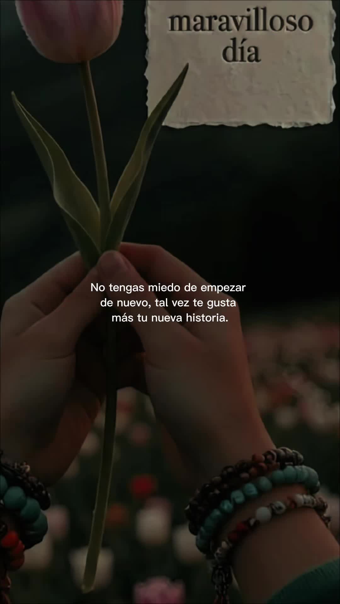 @Maribel 🌻