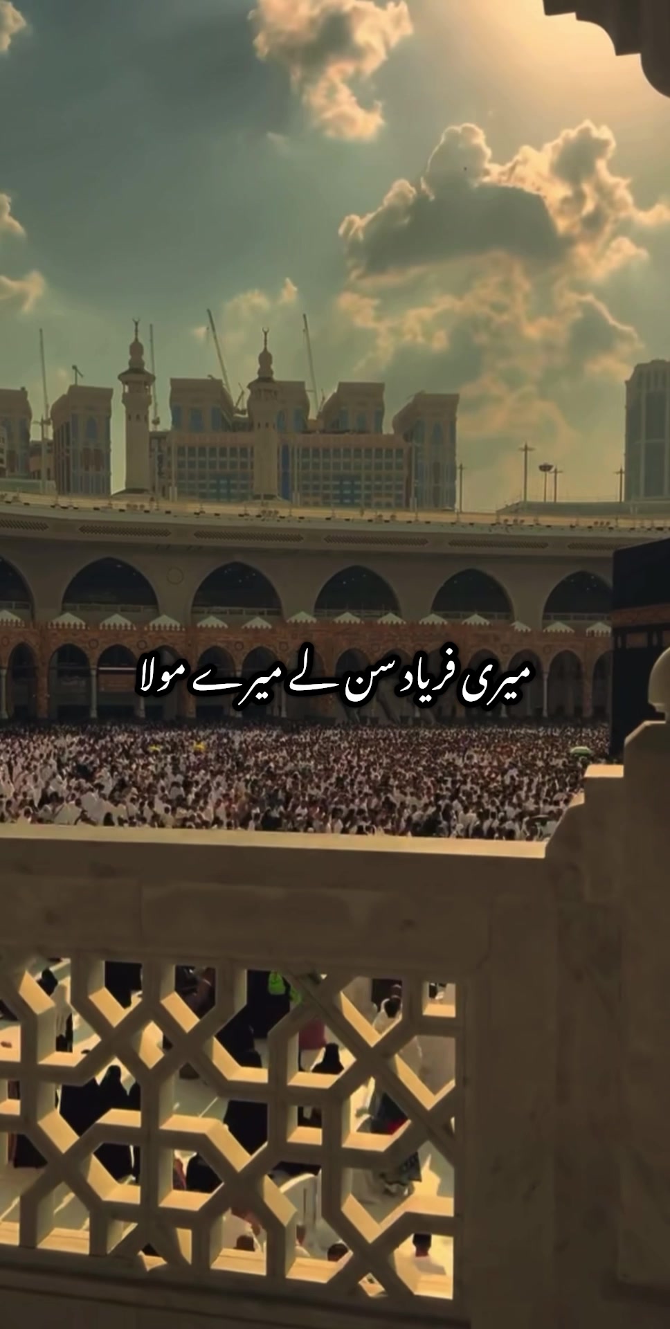 @جنابِ عالم