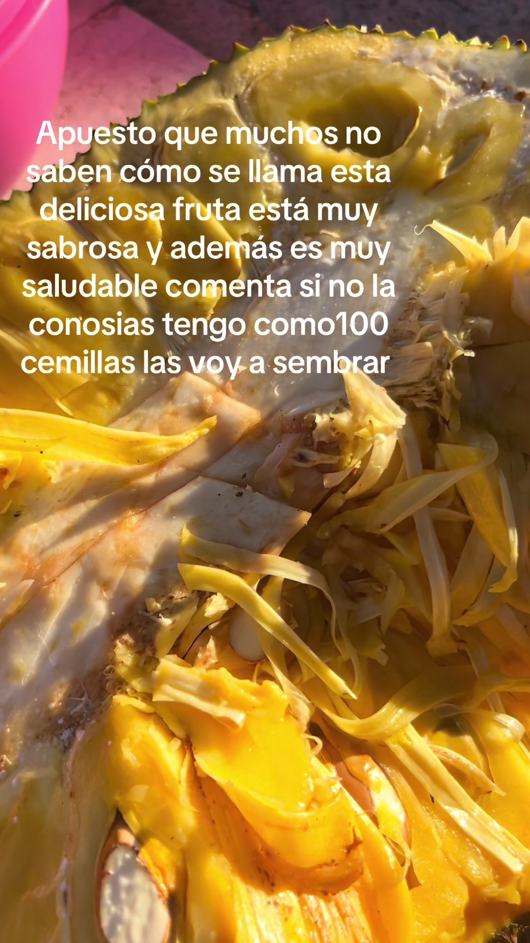 @jose.fernando.ale56
