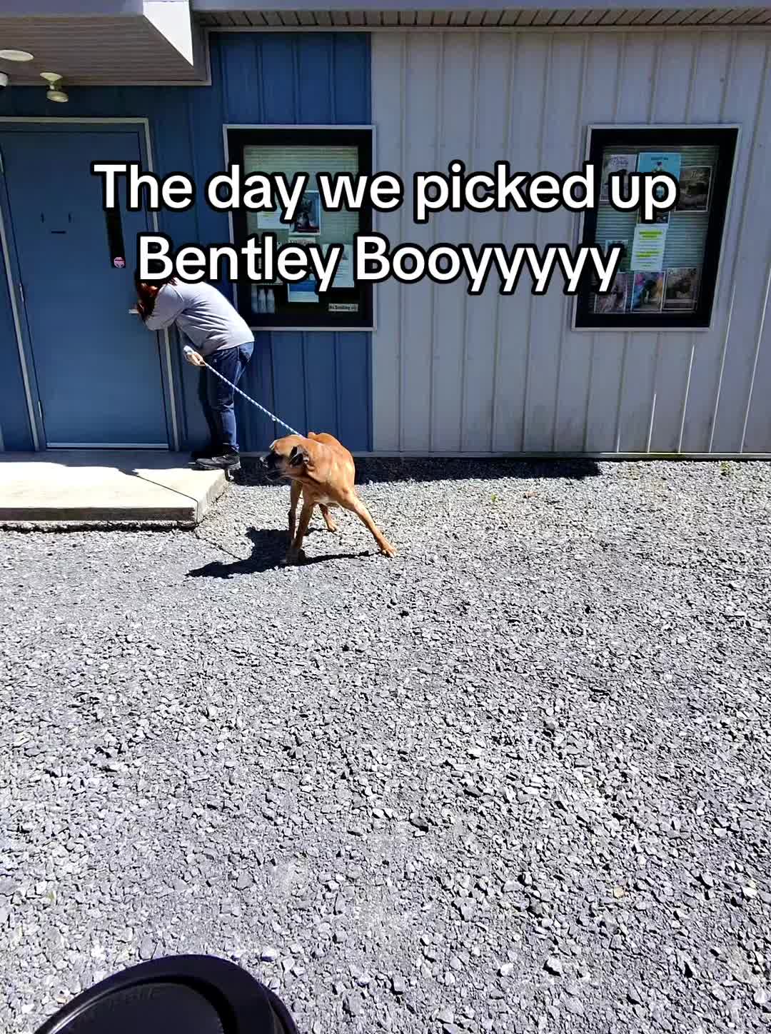 @JennaGrayStudios