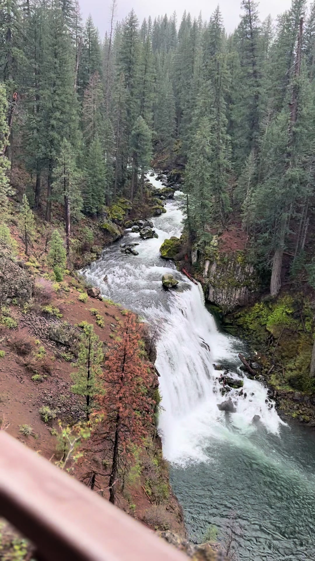 @tahoe_caluph_usa