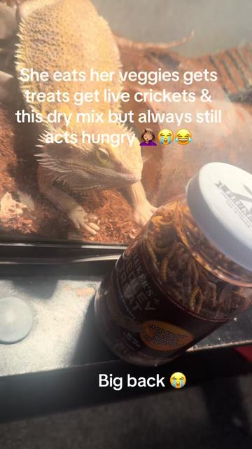 @Kiaababy