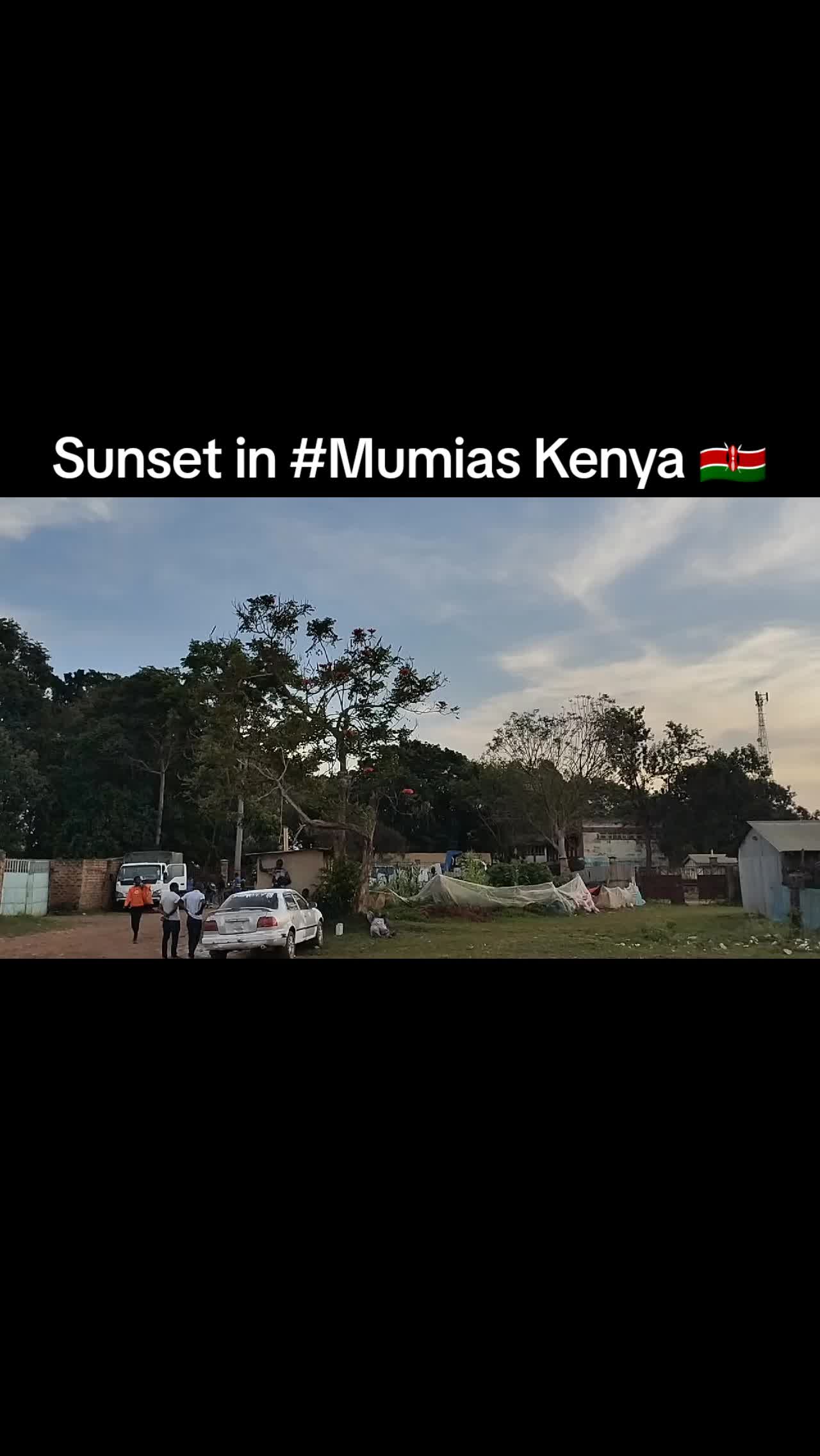 @MitchMitch🇰🇪