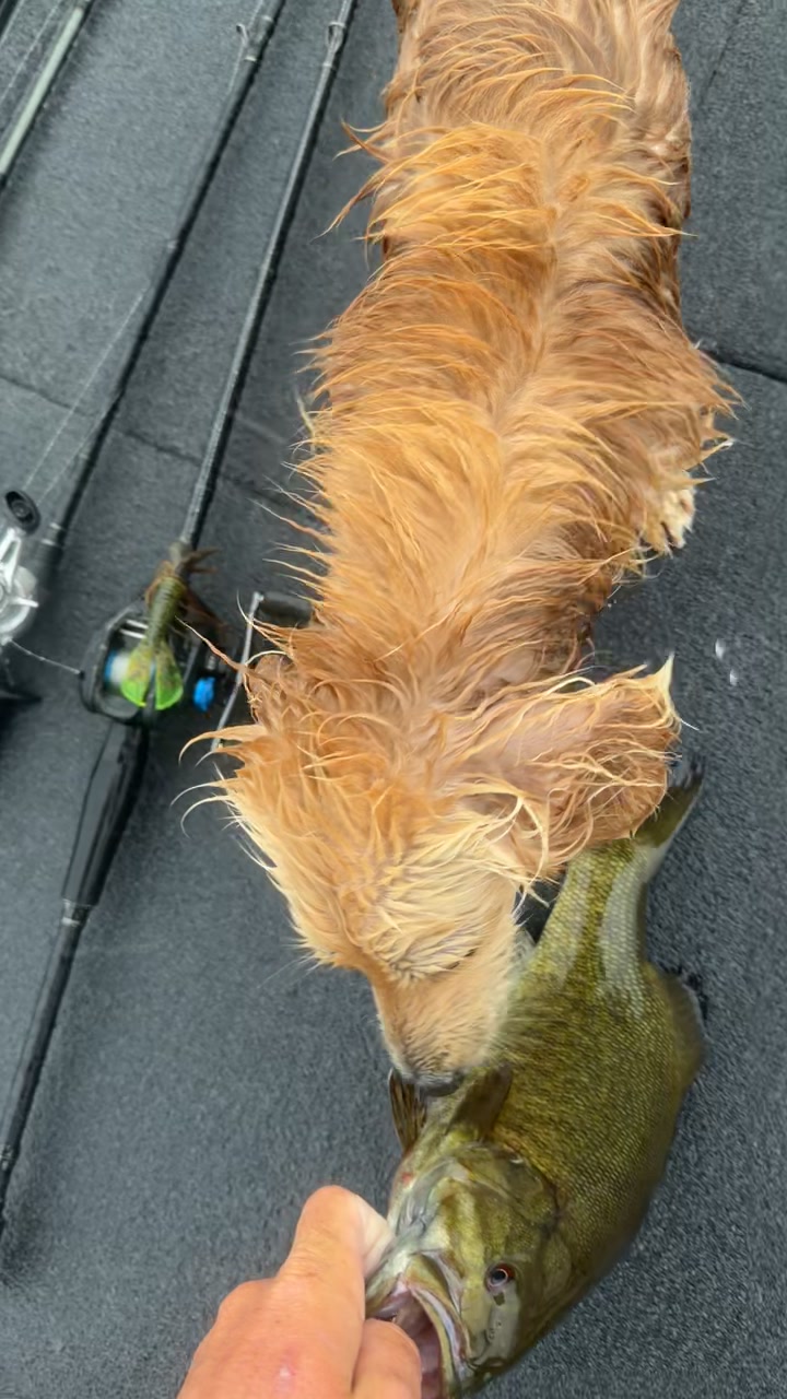 @braydenstokerfishing