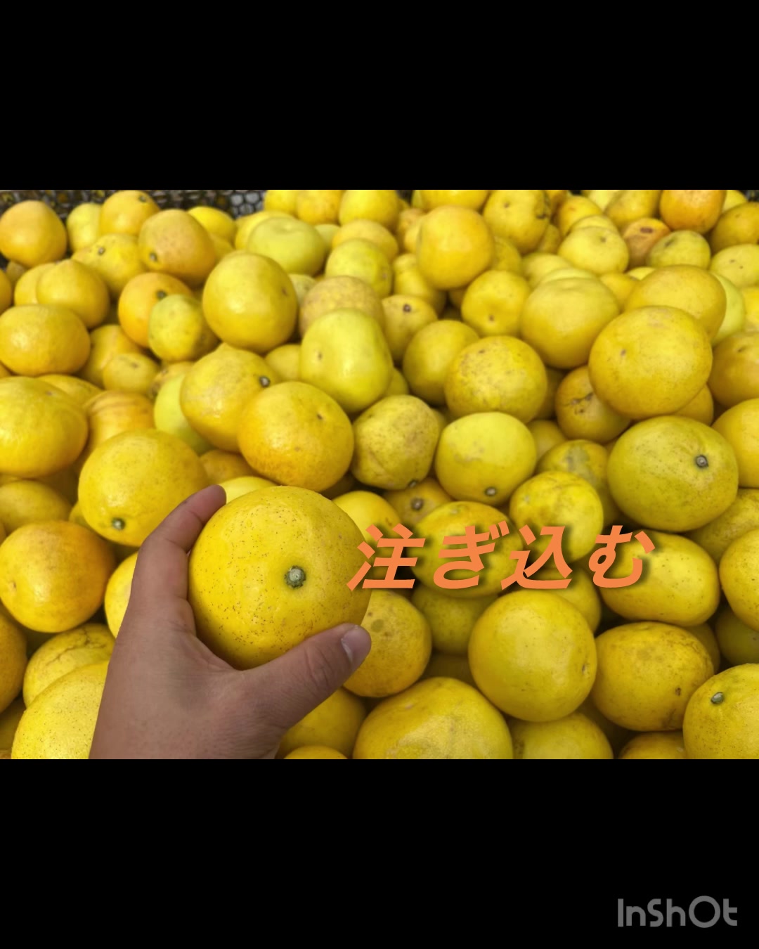 @ã¶ãããðð«