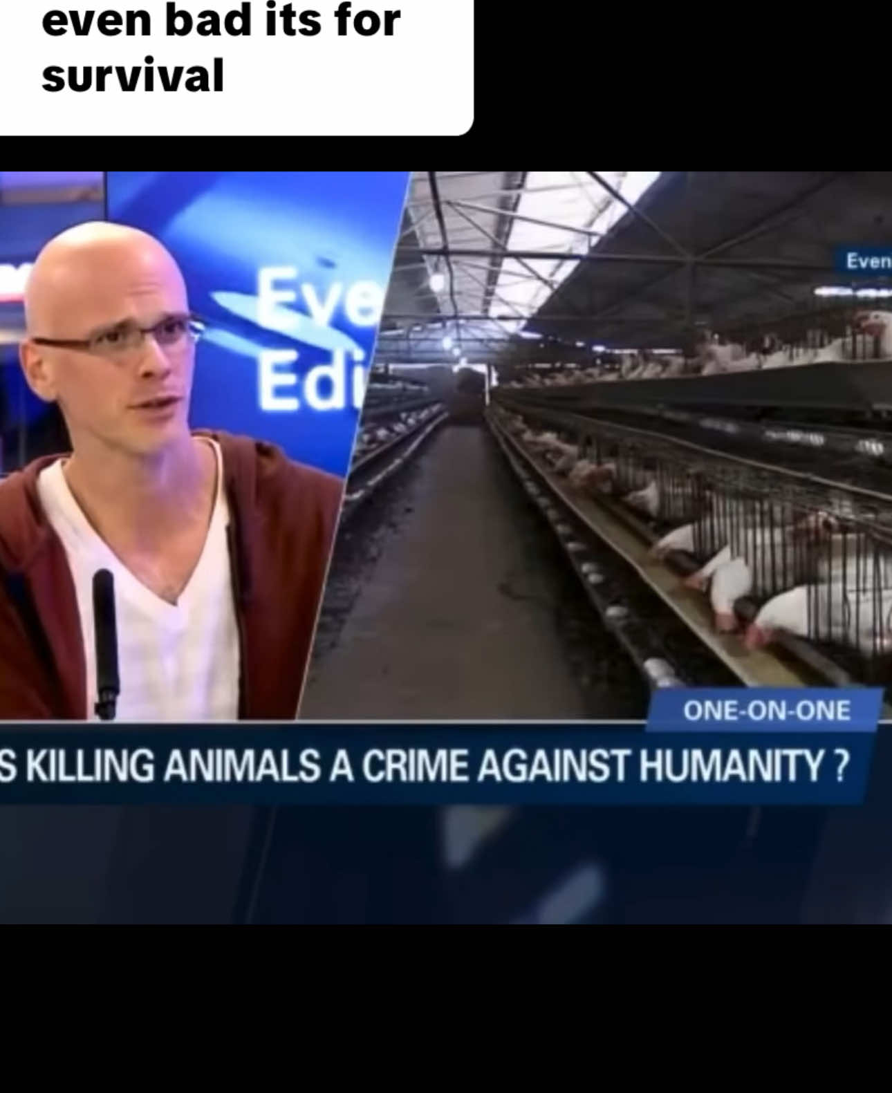 @animalrightsdaily