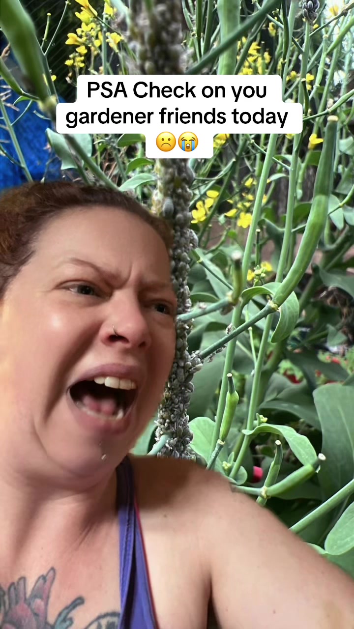 @Sharayacaine
