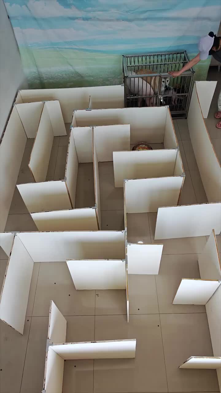 @Mia