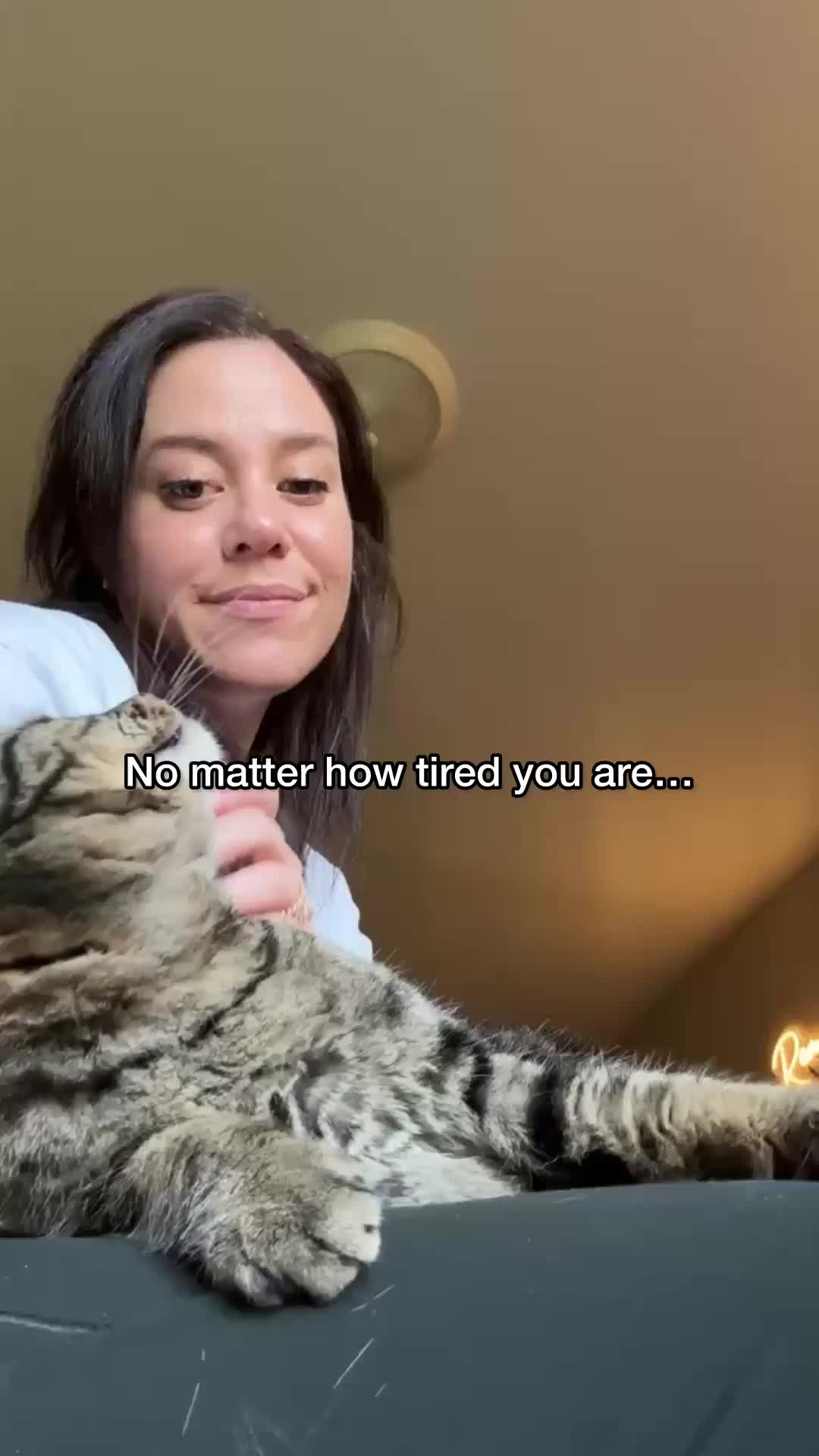 @Chip The Manx