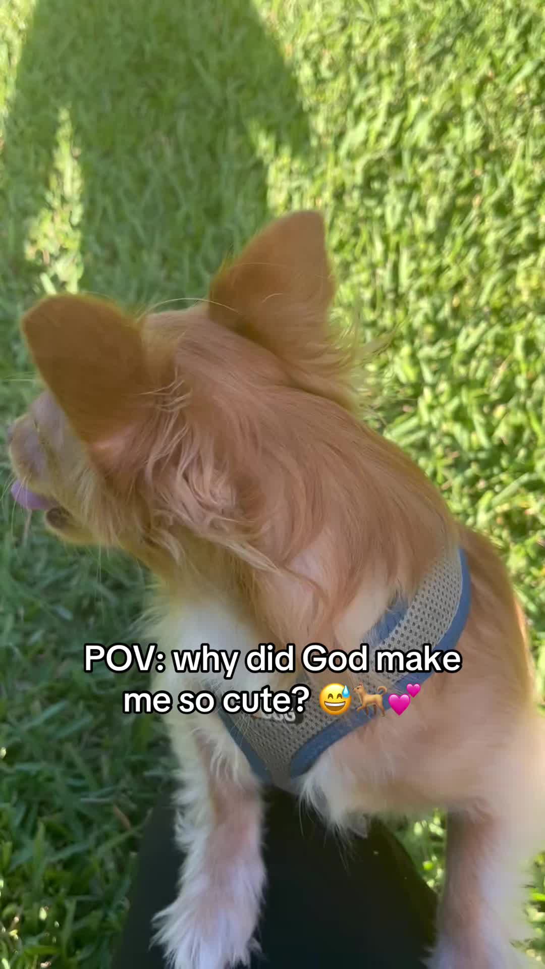 @it&rsquo;s Lady & Lisa
