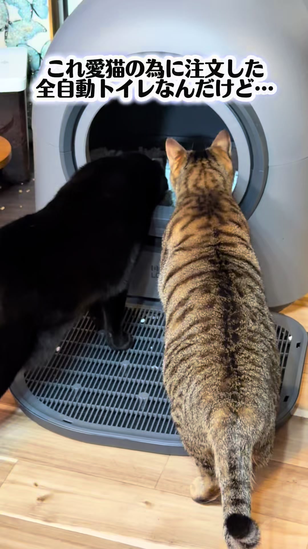 @ãã°ãã¿ðð¥