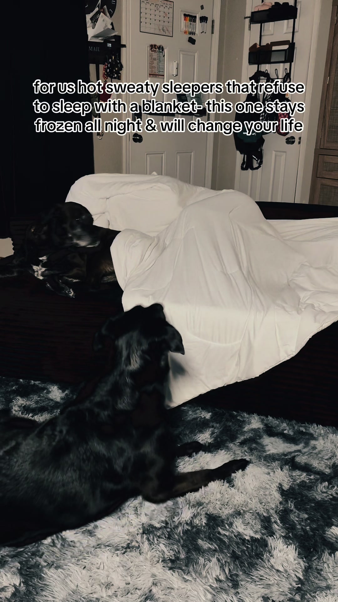 @kai&bull;thedogmother🐾