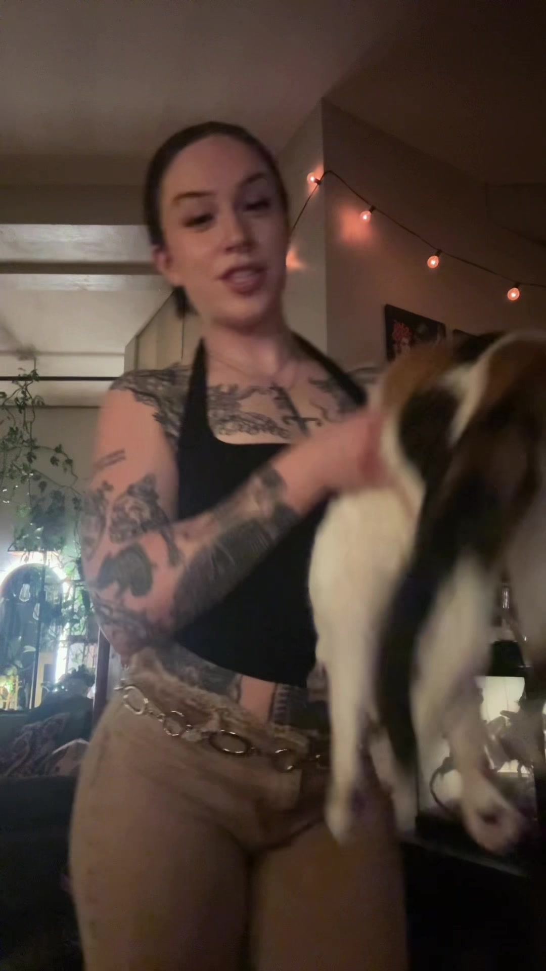 @liofied_