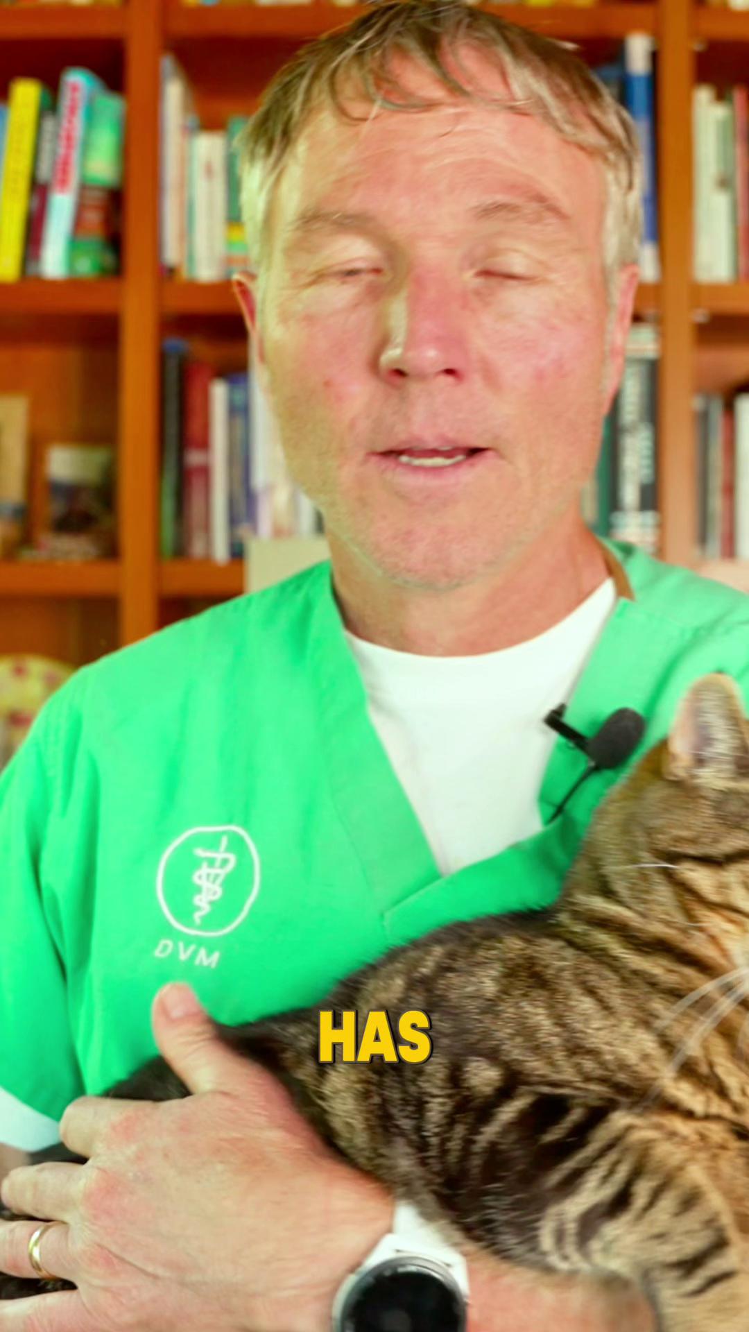 @Andrew Jones, DVM