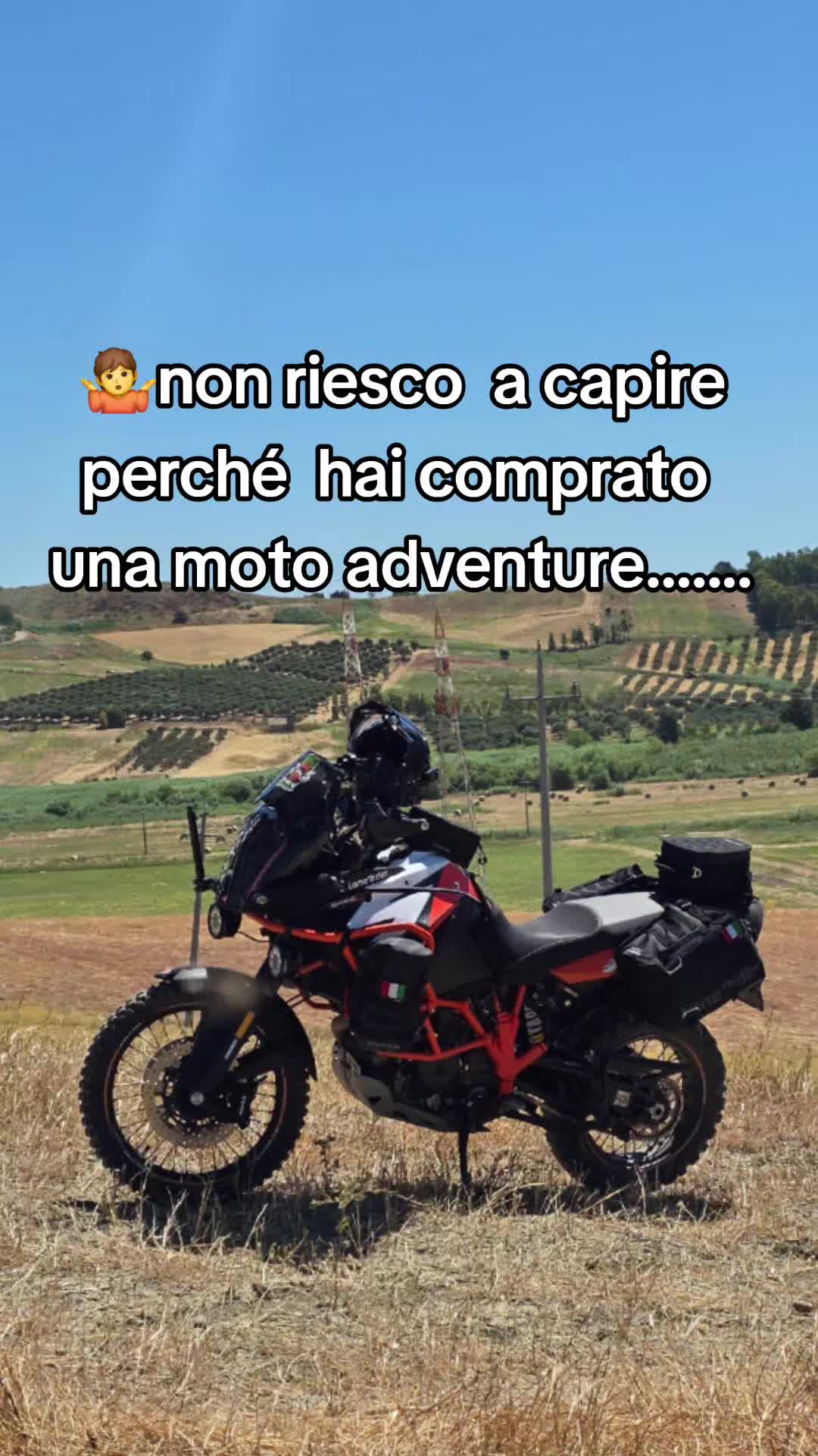 @Daniele Bernaschino 🦍🦁