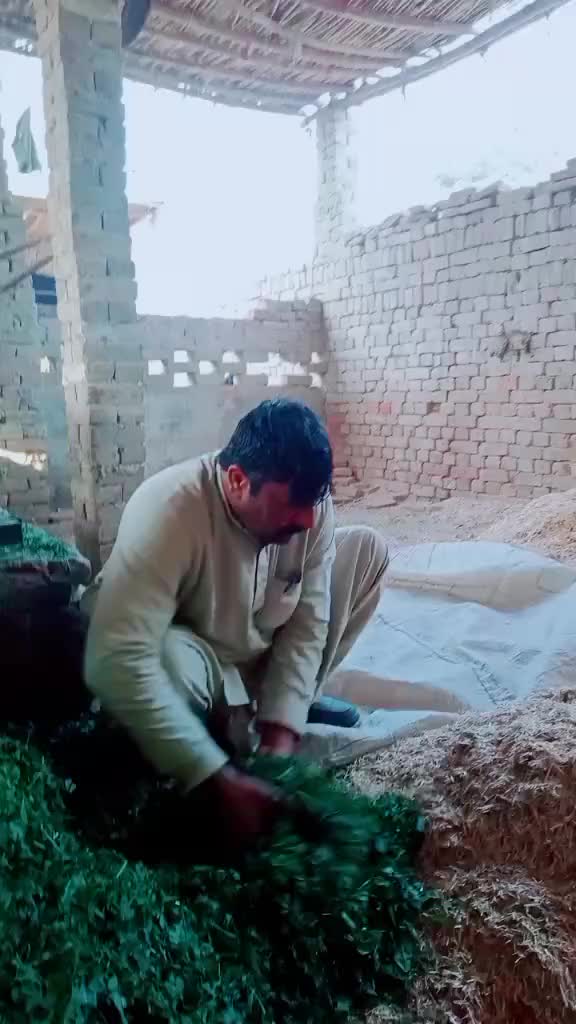 @Ramzan khan dunyapur