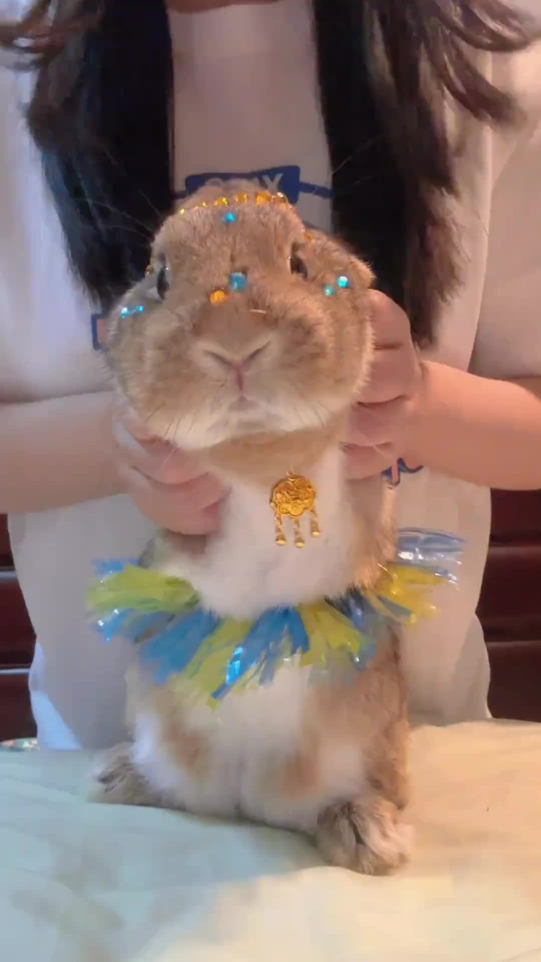 @RabbitBall