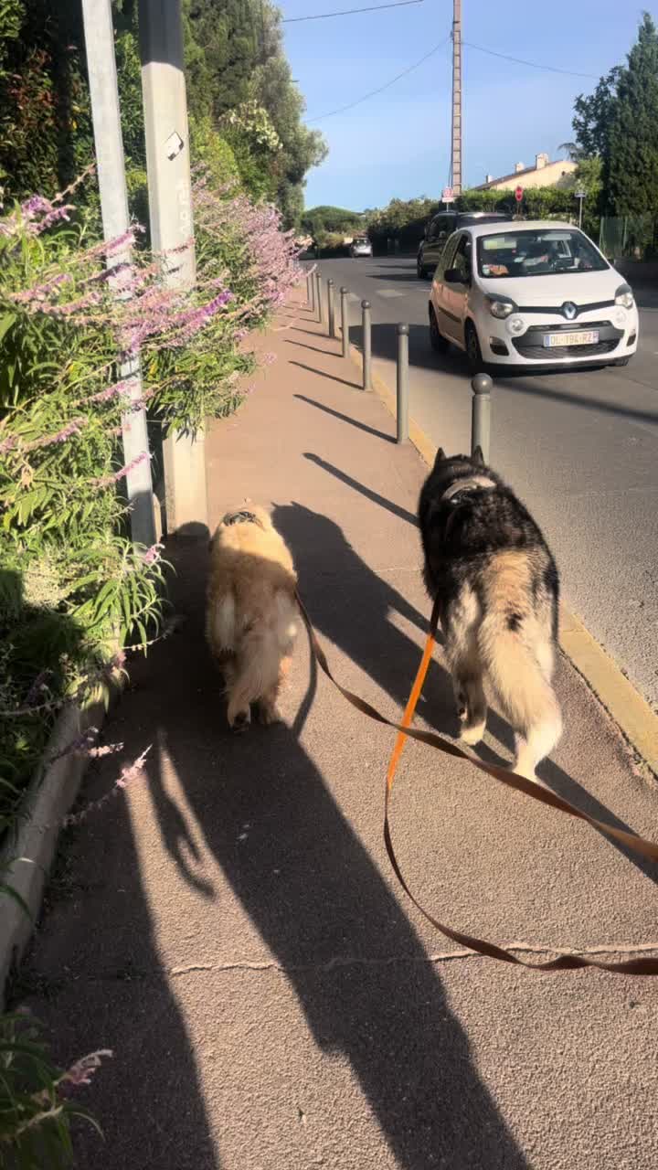 @Naia🐺 & Vénus