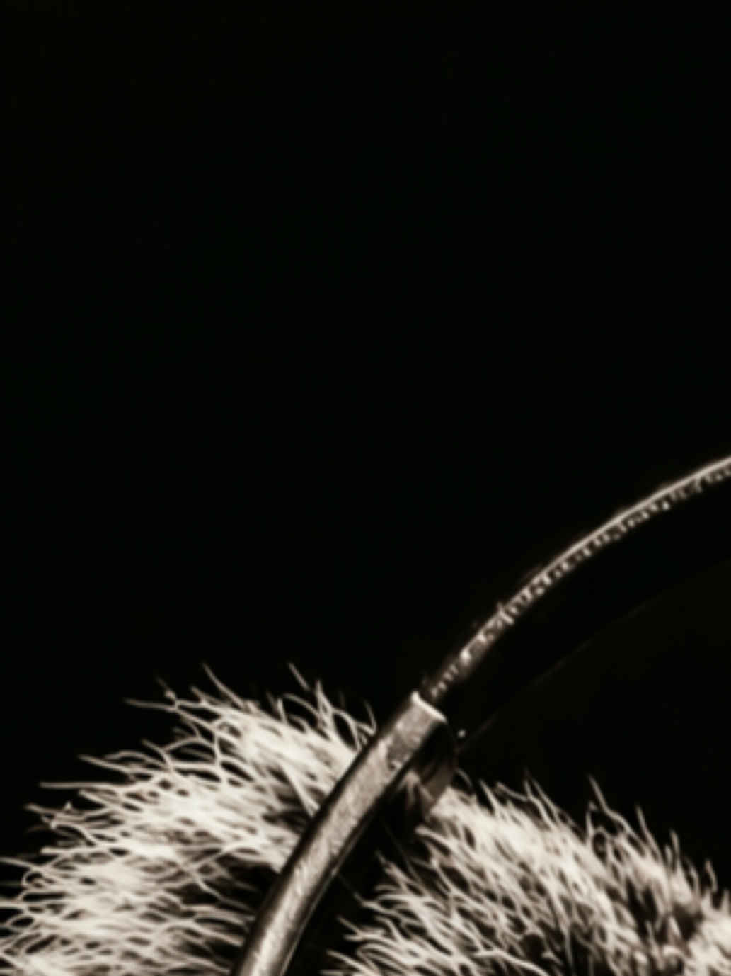 @𝗠𝗼𝗻𝗸𝗲𝘆𝘃𝗶𝗯𝗲𝘀